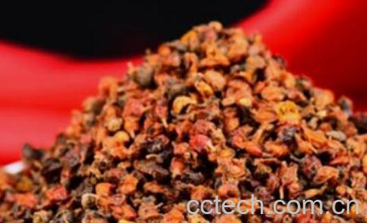 沙棘茶的功效与作用 沙棘茶适合人群-0