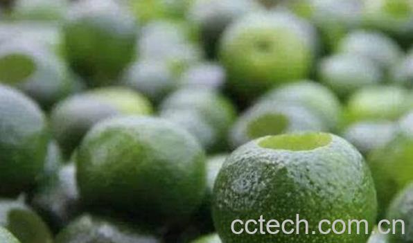 小青柑怎么吃 小青柑的食用方法-1
