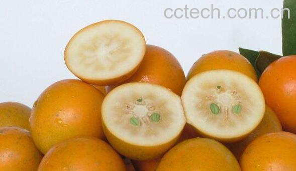 金钱橘止咳的做法-1