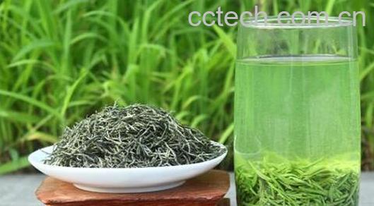 信阳毛尖的冲泡方法步骤-0