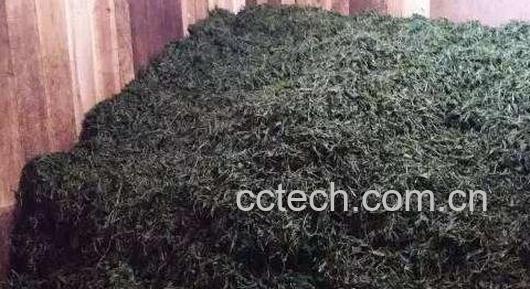 什么是渥堆 渥堆的正确方法-0