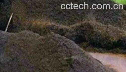 什么是渥堆 渥堆的正确方法-1