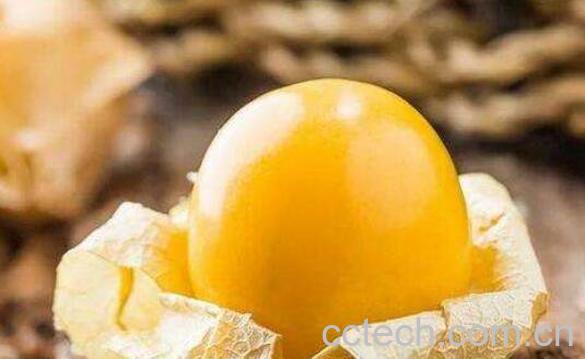 哥伦比亚龙珠果怎么吃 哥伦比亚龙珠果的食用方法-0