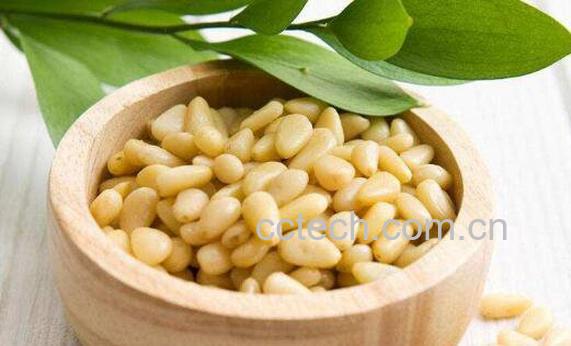 松籽仁的功效和作用-1