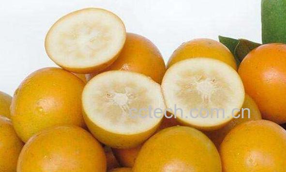 金钱橘怎么吃 金钱橘的食用方法-0
