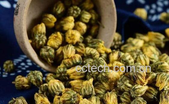 毫菊的功效与作用 毫菊的副作用-0