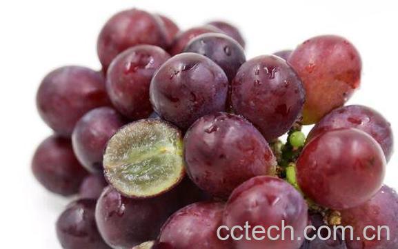 无籽葡萄是转基因吗 无籽葡萄对身体有害吗-0