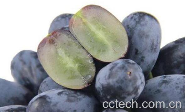 无籽葡萄是转基因吗 无籽葡萄对身体有害吗-1