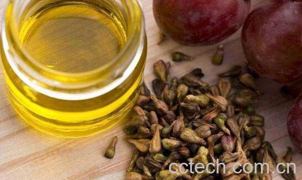 精油鳄梨的功效与作用-0