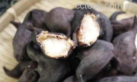 菱角的功效与作用-0