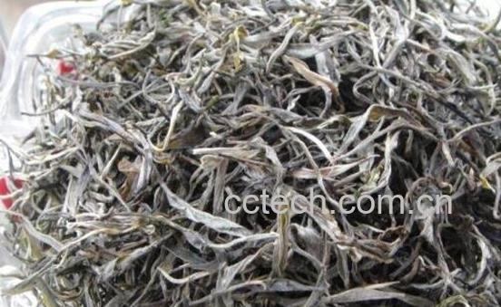 晒青毛茶做 晒青毛茶制作过程-1