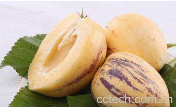 人参果怎么吃 人参果的功效与作用 -0