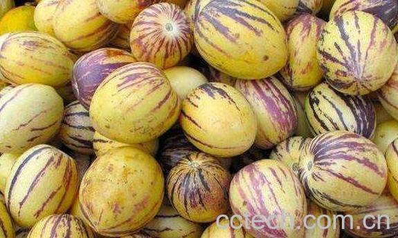 人参果怎么吃 人参果的功效与作用 -1