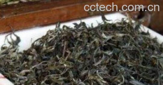 晒青毛茶怎么喝 晒青毛茶怎么泡-0