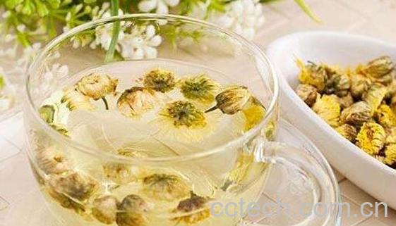 野菊花茶的功效与作用及副作用-0