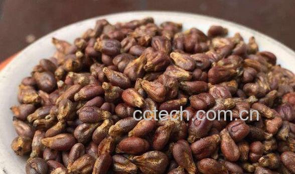 葡萄籽怎么吃 吃葡萄籽的好处与功效-0