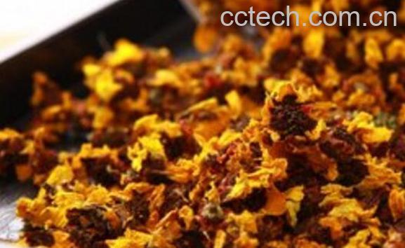 雪菊跟什么一起泡最佳-1