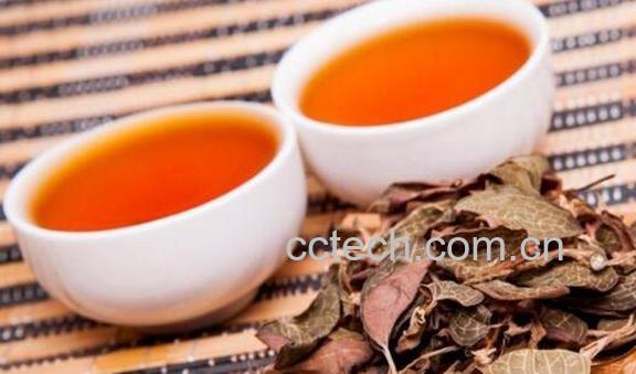 金线莲茶的功效与作用及禁忌-0