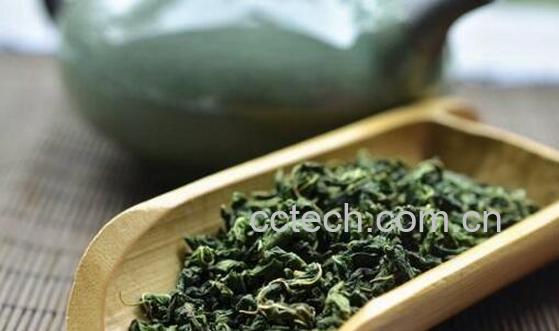 桑叶粉和桑叶茶的区别 桑叶茶的功效与作用-1