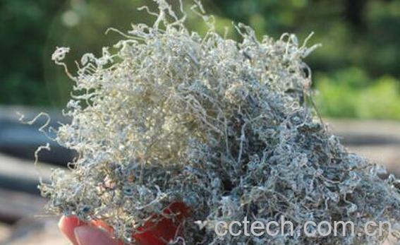 茅岩莓茶的功效与作用 茅岩莓茶的禁忌-1