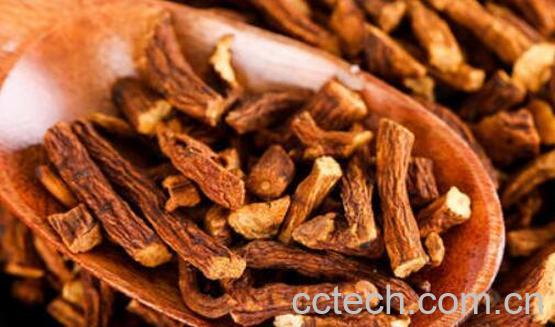 蒲公英根茶的制作方法窍门-1