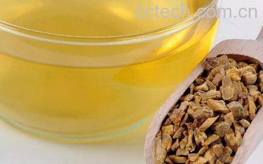 黄岑茶的功效与作用-1