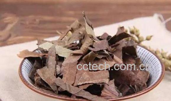 干枇杷叶的功效与作用-0