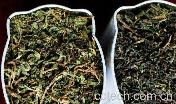 鲜苦菜怎样做成茶 喝苦菜茶的好处-0