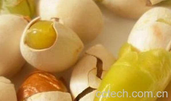  银杏果的食用方法 银杏果怎么吃-1