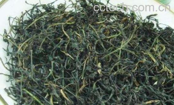 炒苦菜茶的功效与作用-0