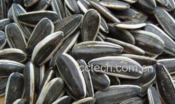 生葵花籽的功效与作用-1