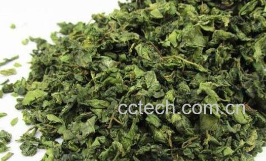 酸枣叶茶如何做 酸枣叶茶的做法窍门-0