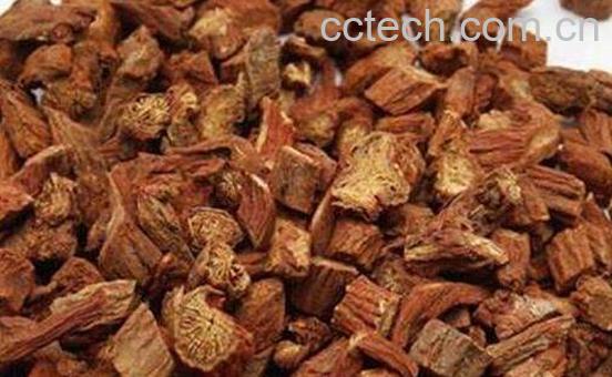 女性喝丹参茶有什么好处-1