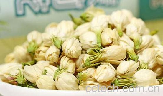 产前喝茉莉苞茶的危害 茉莉苞茶的功效-0