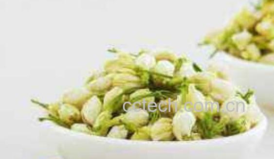 产前喝茉莉苞茶的危害 茉莉苞茶的功效-1