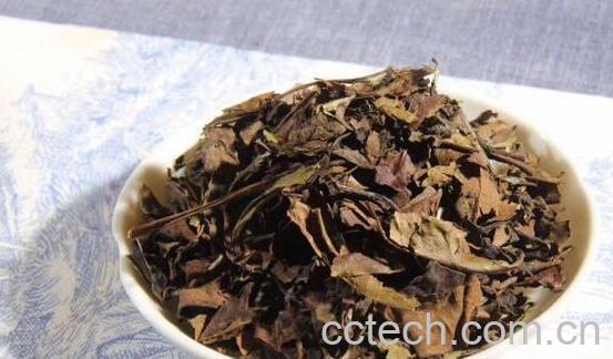 老白茶怎么泡好喝 老白茶的正确泡法-1