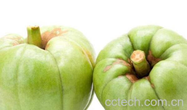 藤黄果的功效与作用-1