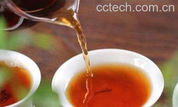 哪一种茶刮油最厉害-0