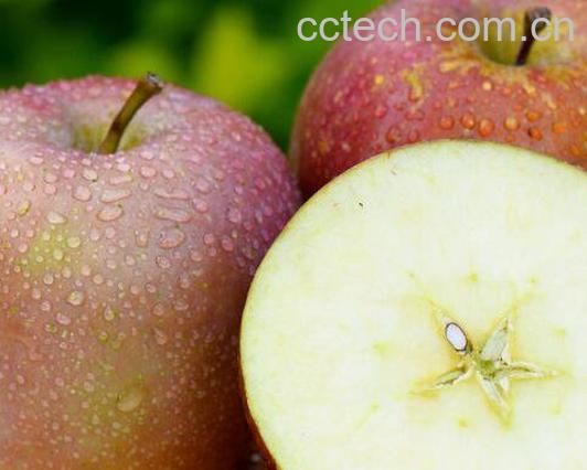 冰糖心苹果的功效与作用-1
