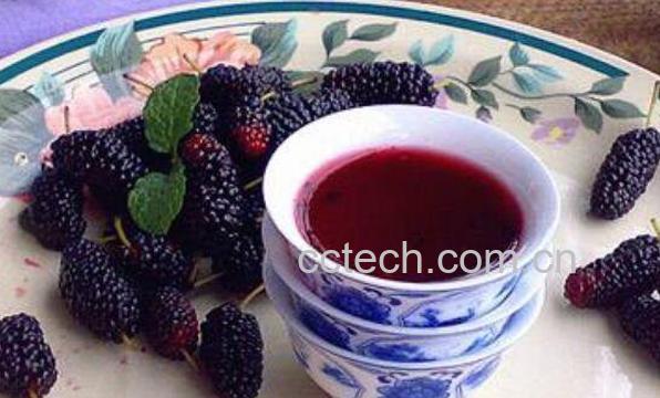  如何自制桑葚酒 自制桑葚酒的危害-0
