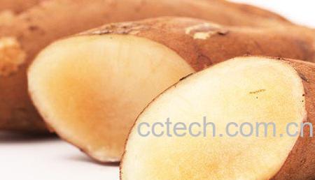 雪莲果怎么吃最好 雪莲果的吃法大全-0