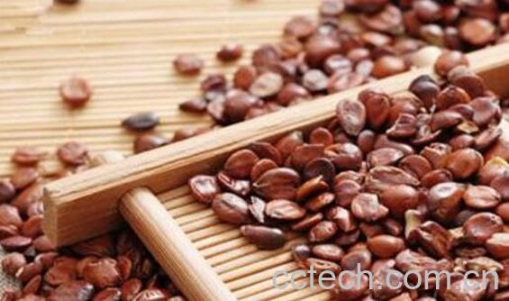 酸枣仁茶什么时候喝最好 喝酸枣仁茶的最佳时间-0