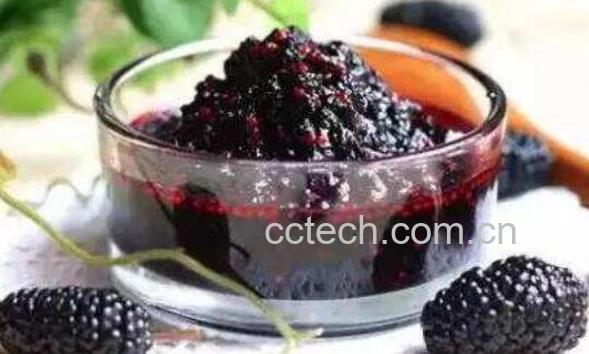 桑葚干泡酒的制作方法-1