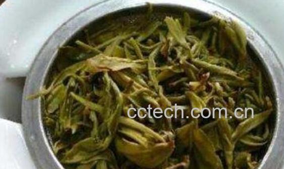 普陀佛茶的主要功效作用-0