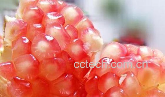  酸石榴的功效与作用-0