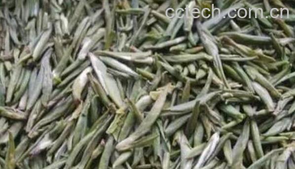 化佛茶的功效与作用-0