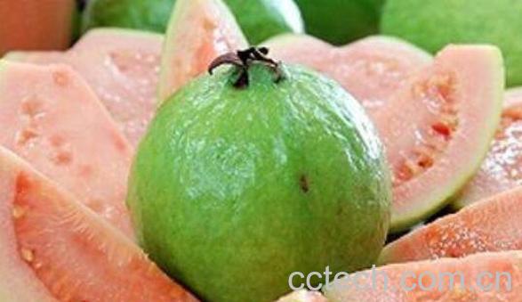  番石榴怎么吃 番石榴的吃法技巧-0