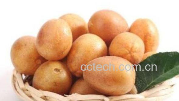 黄皮果的功效与作用及食用方法-0