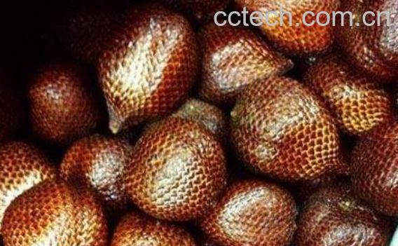 蛇皮果不适合什么人吃 吃蛇皮果的副作用-0