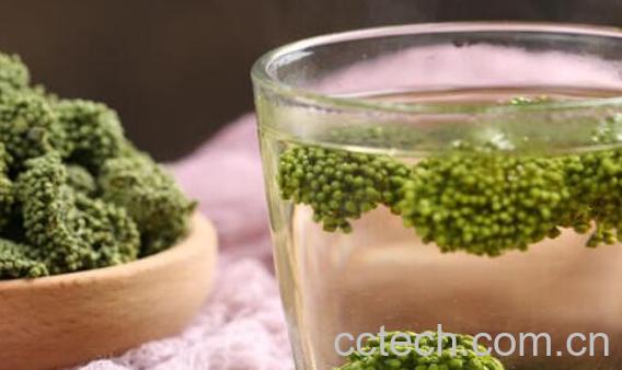 女人喝田七花茶的功效与作用-1